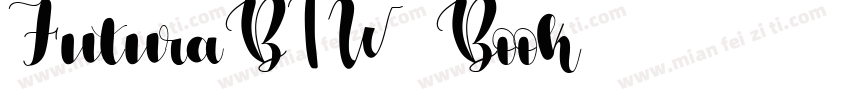 FuturaBTW01 Book字体转换